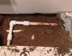 直辖县级行政区划测漏水哪家好