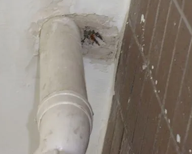 直辖县级行政区划漏水检测哪家好